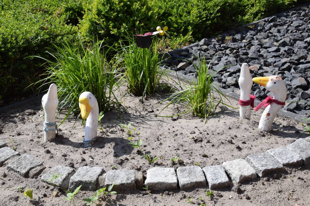 Vor dem Haus der Familie Schneegans stecken einige Deko-Gänse den Kopf aus dem Boden.